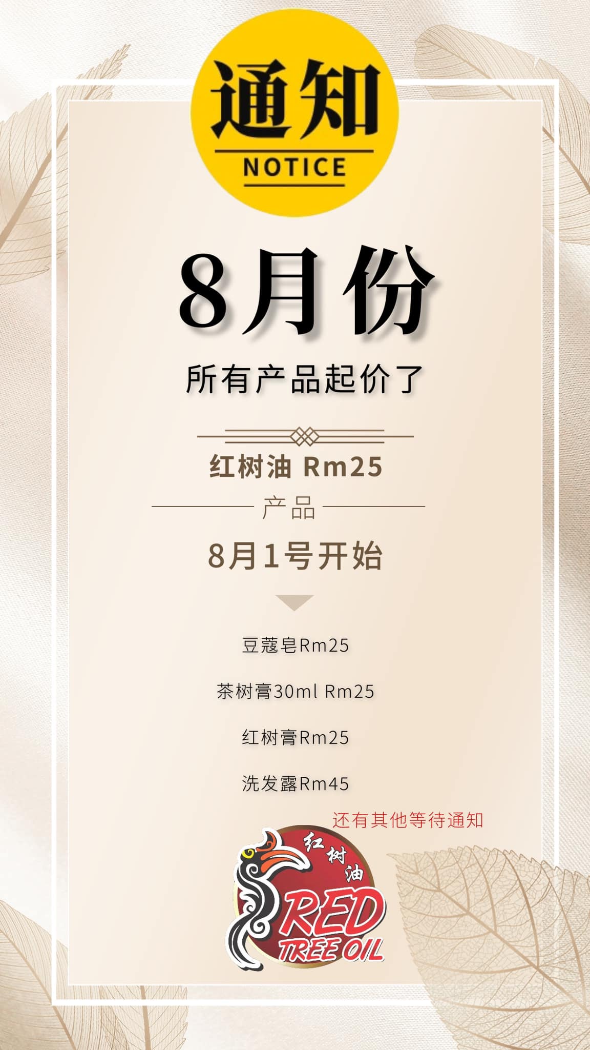 Lavender Sleeping Cream 50g 【Red Tree Oil Value Package 2024 】 薰衣草睡眠膏 ...