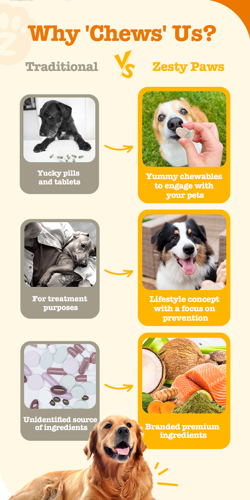 Curated visual reference: Zesty Paws Allergy Immune Bites Dogs Peanut Butter Flavor 10 Photo Inspiration