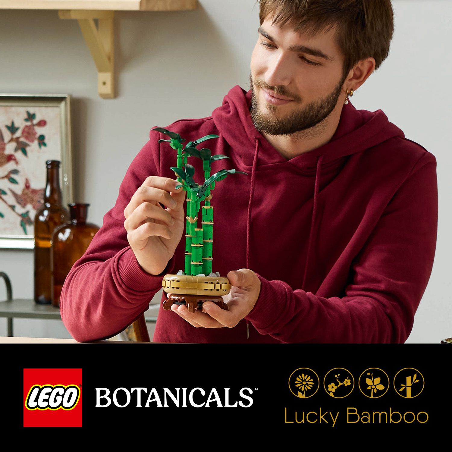 LEGO Botanicals 10344 Lucky Bamboo (325 Pieces) | Shopee Singapore