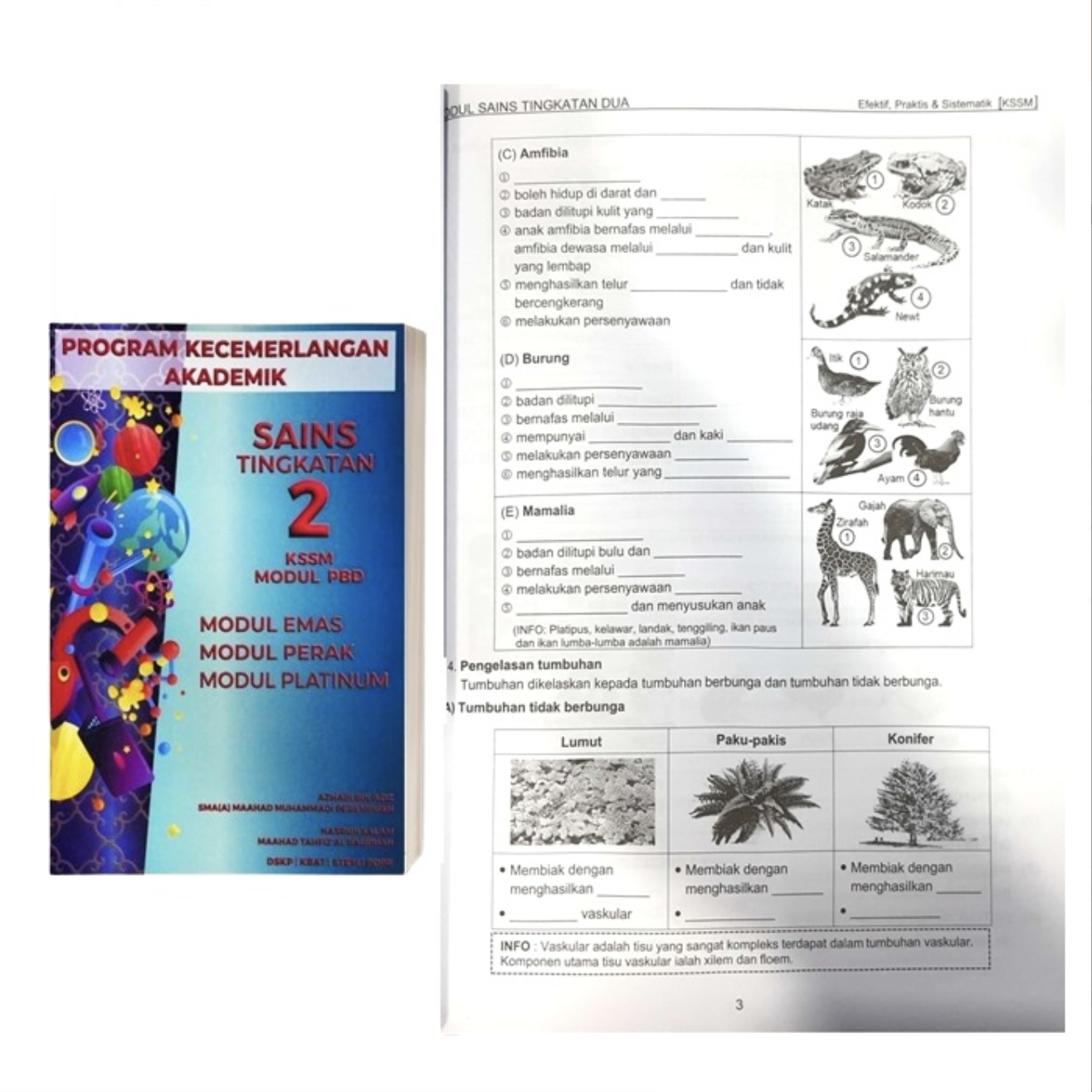 Mathematics Note Form 2 & Science Note Form 2 (Note + Question ...