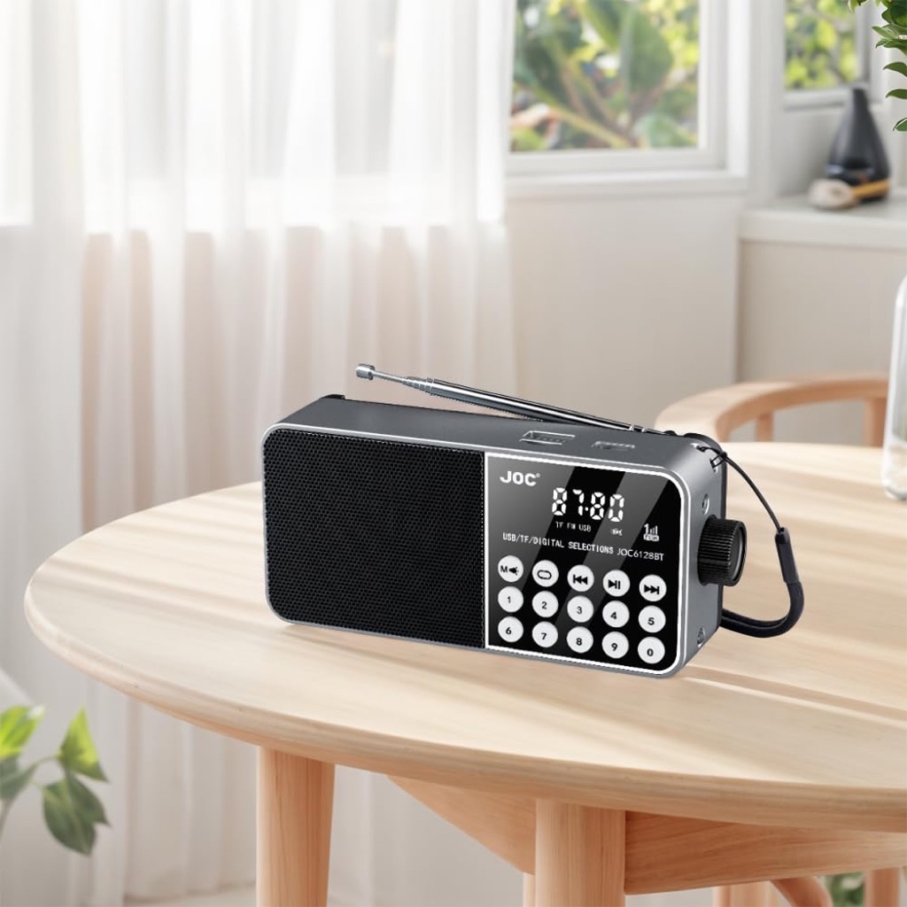 JOC H6128BT Mini Portable Wireless Bluetooth 5.4 Digital Speaker Radio ...