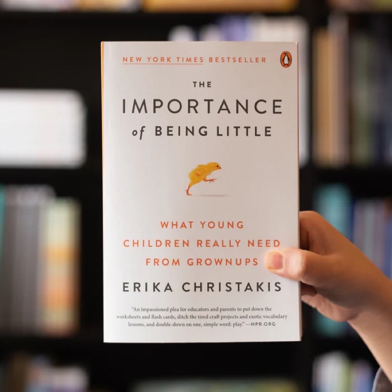 The Importance of Being Little: What Preschoolers Really Need from ...