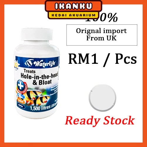 Waterlife Octozin Bloat & Hole in the Head Parasite Treatment aquarium ...