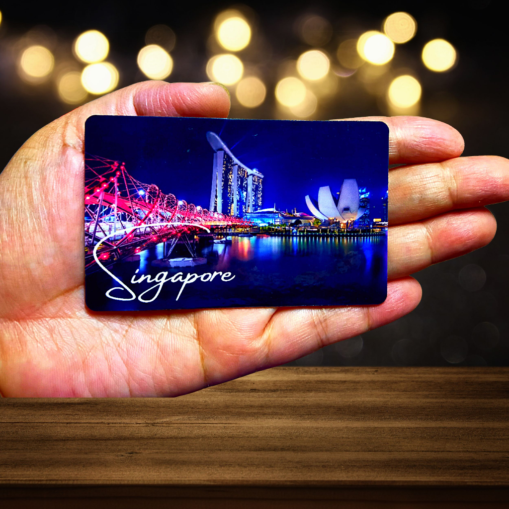 Rubber Ref Magnet Souvenir Fridge Magnet | Shopee Singapore
