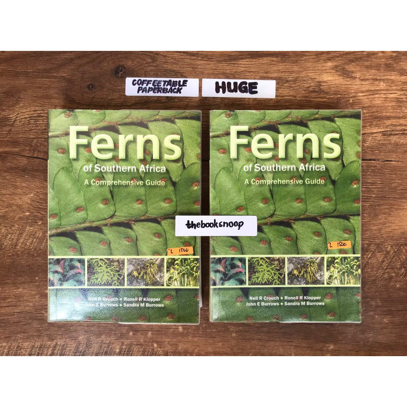 Ferns of Southern Africa: A Comprehensive Guide by Neil Crouch nature ...
