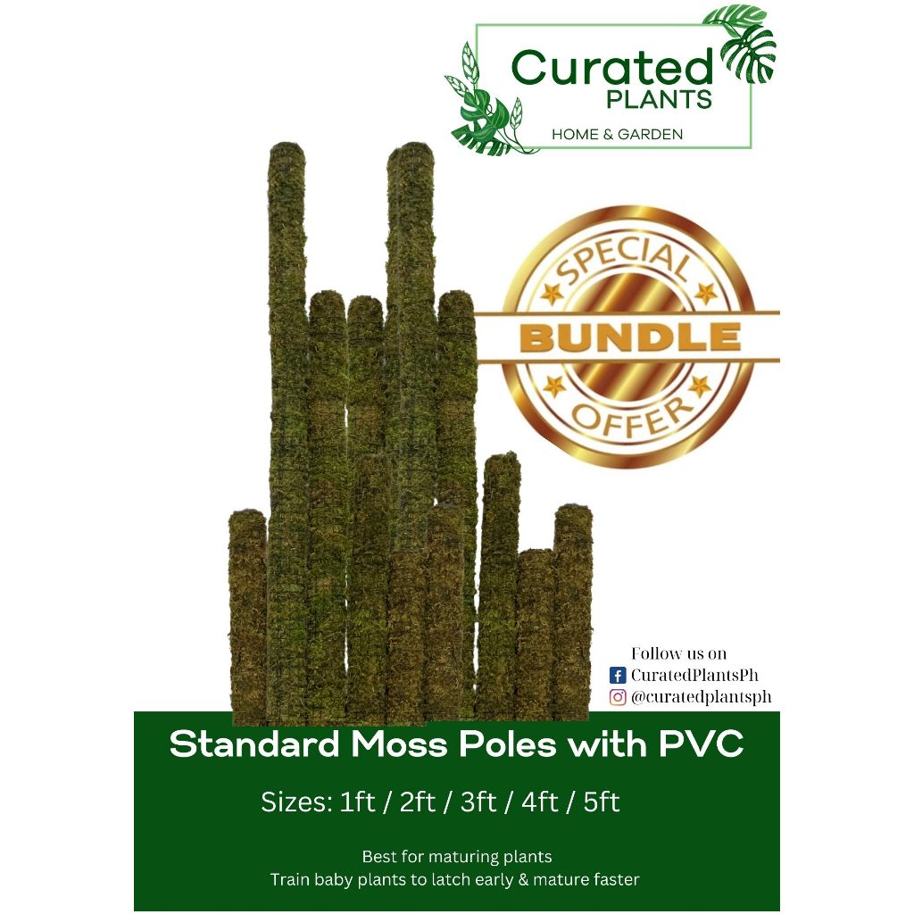 10 PIECE LENGTH: 2 FEET LONG/24 INCHES Sphagnum Moss Poles with PVC ...
