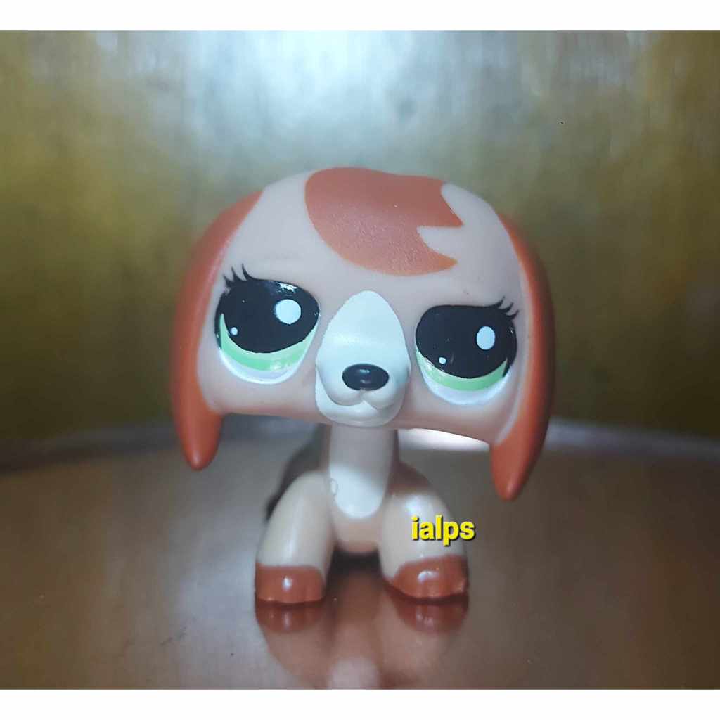 Lps collie and cocker spaniel sale