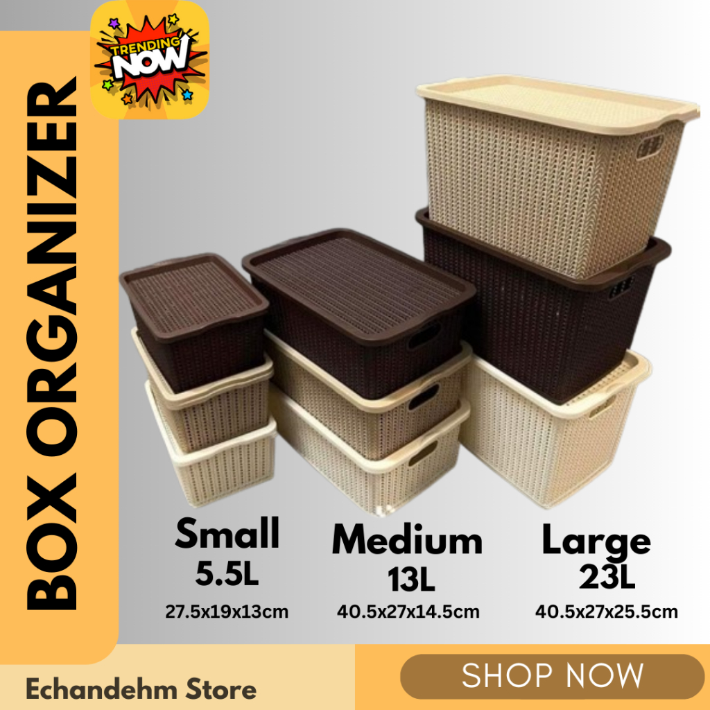 Premium Rattan Box Stylish Storage Organizer with Cover Rattan Storage ...
