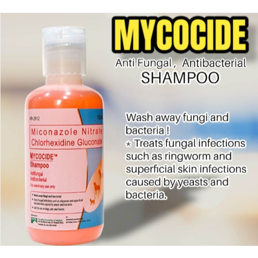 Mycocide Shampoo to Treat Fungi, Yeast and Ringworm on Skins of Dogs ...