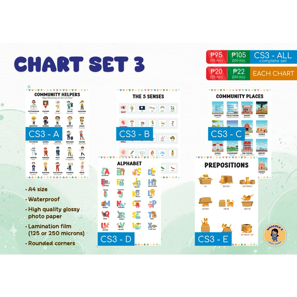 Laminated Educational Chart Set 3 - Community Helpers and Places Five ...