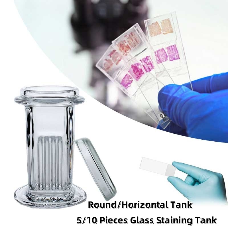 Glass Staining Cylinder 5/10pcs Glass Slide Staining Cylinder Round ...