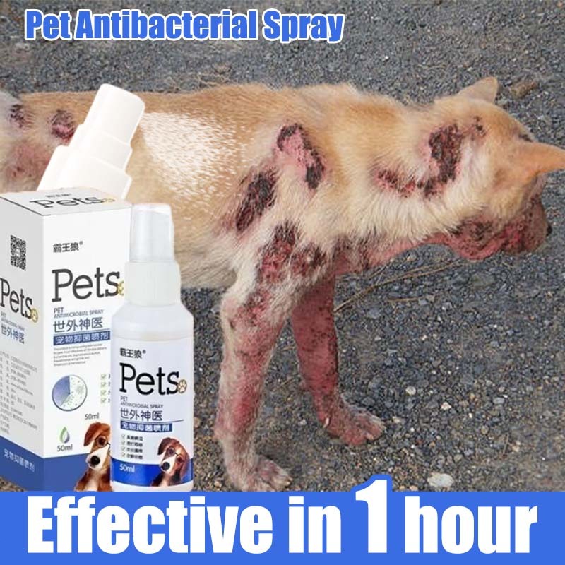 View of Dog Spray For Skin Disease Pet Skin Treatment Spray Dog Skin Treatment ...