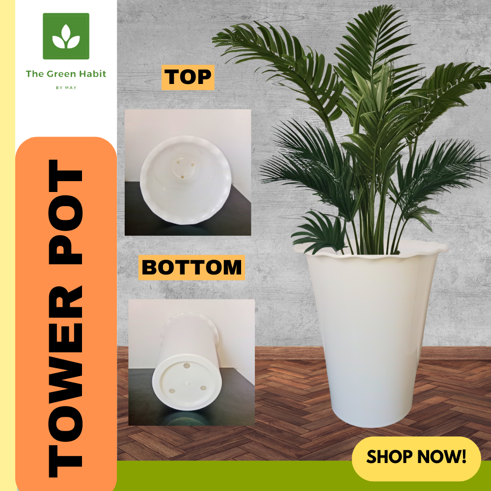 White Tower Pot – Modern Tall Pot for Indoor & Outdoor Plants | Shopee ...