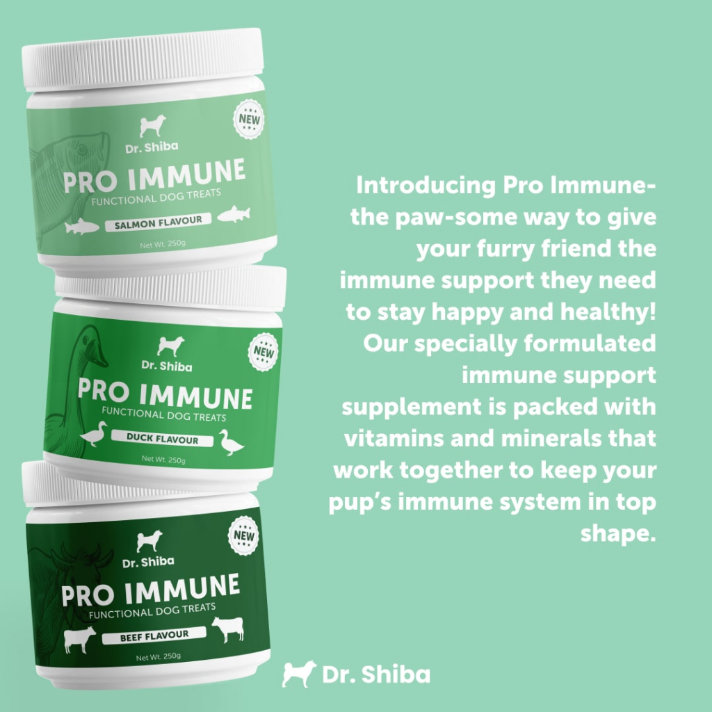 Image showcasing Dr Shiba Pro Immune Healthy Dog Treats Snack: Dog Multivitamins - Dog ...