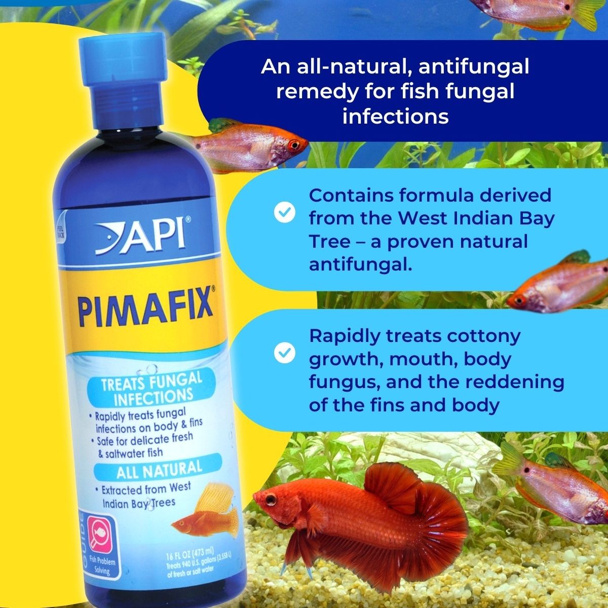 Curated visual reference: Fungal Infection Treatment Aquarium Fish Resilience Reference: Api Pimafix Fish Remedy Antifungal Treatment For Cottony Growth Fin