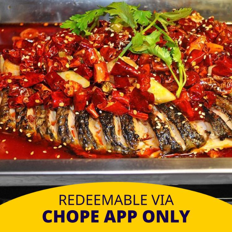 Tong Fu Ju Sichuan Restaurant Signature Set Menu Chinese cuisine at