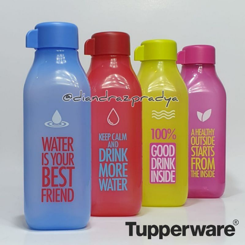 Eco Square Tupperware Print 500 mL | Shopee Singapore
