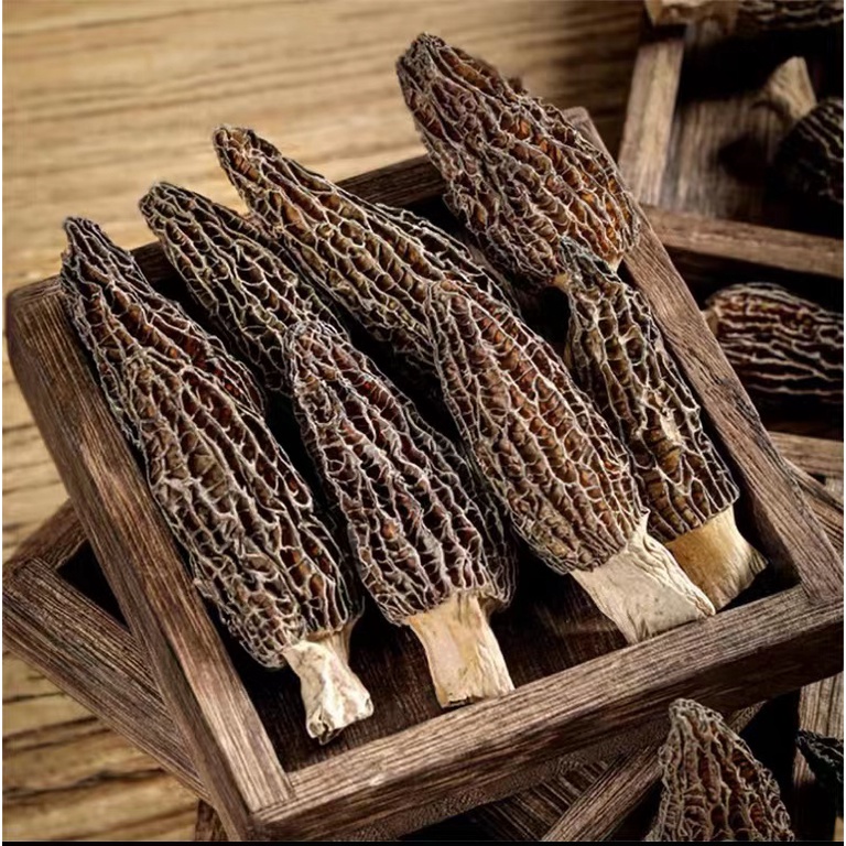 morel-mushroom-yang-du-jun-50g-shopee-singapore
