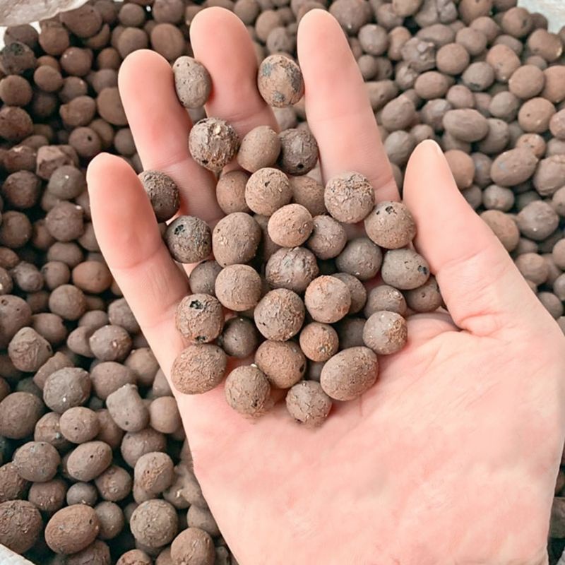 [SG LOCAL READY STOCK] 2L Leca Clay Balls l Hydroponics l Plant l