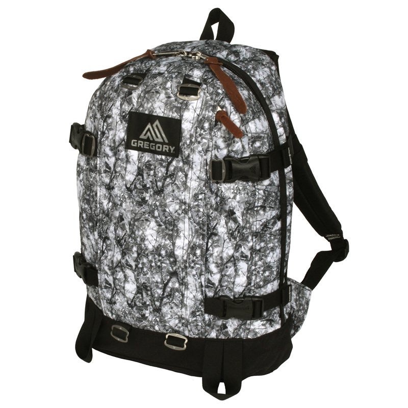 Gregory any cheap day backpack