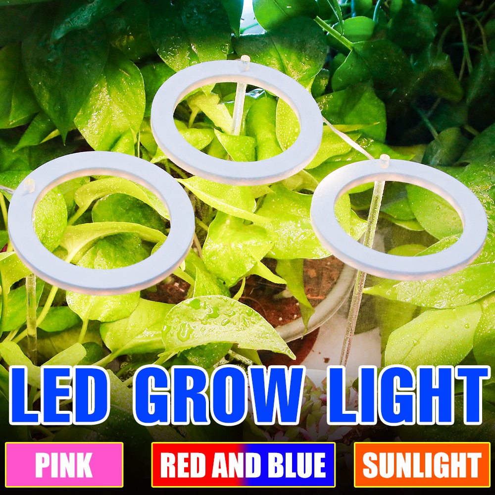 USB Full Spectrum Plants Lamp LED Grow Lights Timer Dimmable Phyto Lamp ...