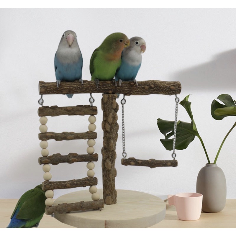 Oooct Bird Foraging Toy - Rotating Feeder & Chewing Toy For Parrots, Parakeets, Cockatiels, Conures, Lovebirds - View #12