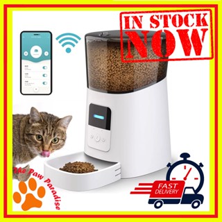 Holiday best sale cat feeder