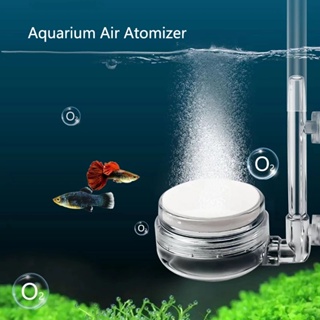 EHEIM Aquarium Air Bubble Stone Aerator Pond Pump Dia Air Stone Bubble Disk  Aquarium Air Pump Hydroponic Oxygen Plate - AliExpress