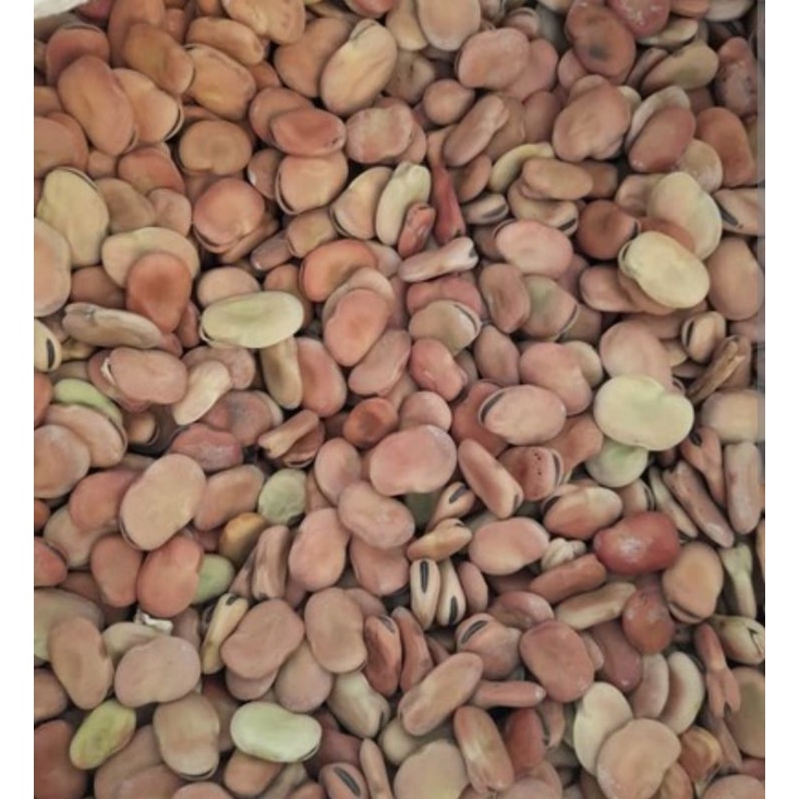 dried broad bean / Fava bean 1kg Shopee Singapore