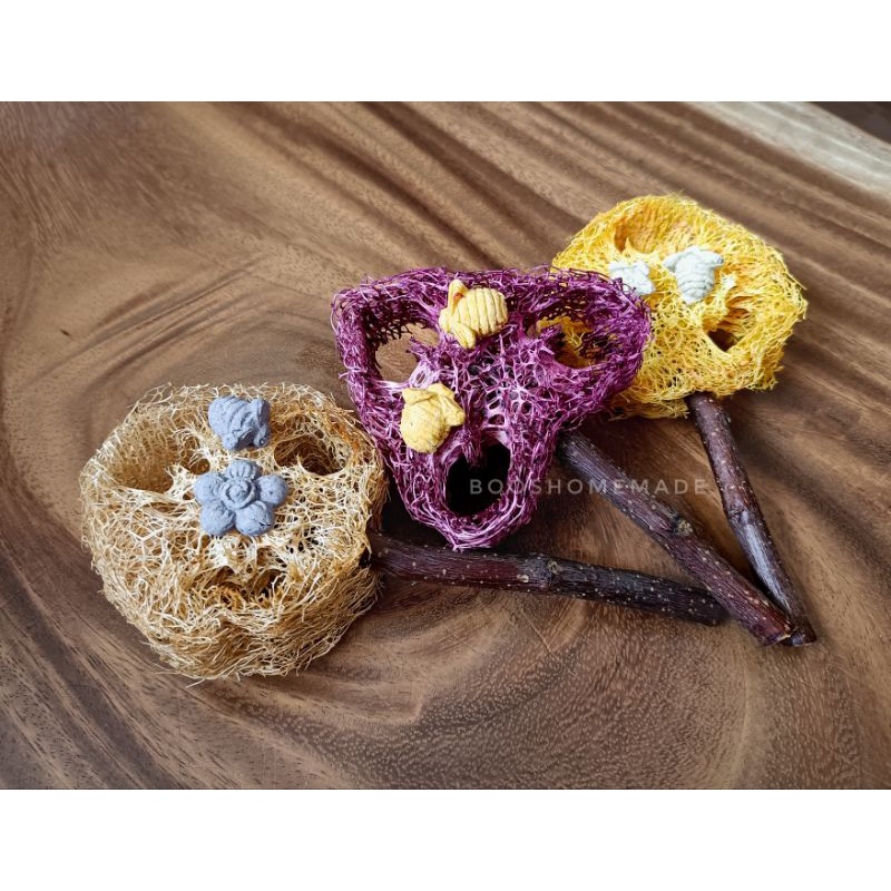 Fruit infused Luffa Pops chew toy for rabbits guinea pigs. blueberry