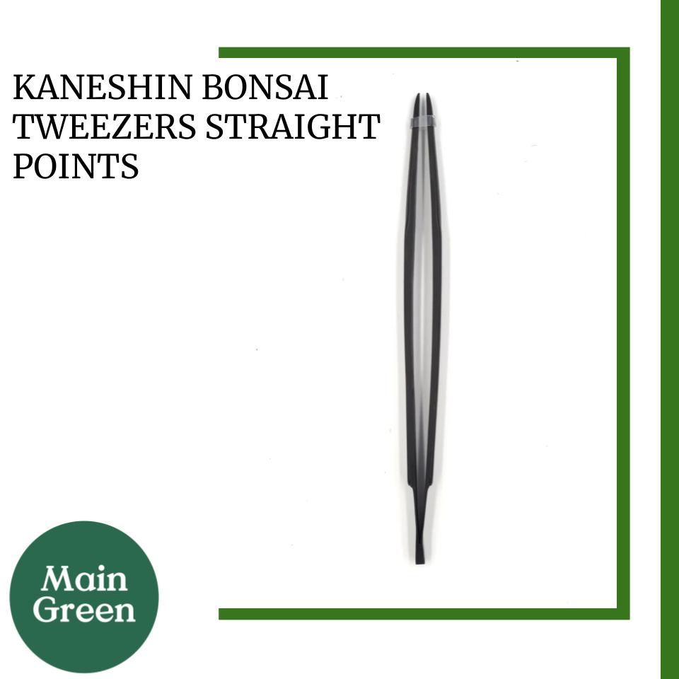 Kaneshin Bonsai Tweezers Straight Point, Japanese Carbon Steel, Debris Removal Garden Tools Made