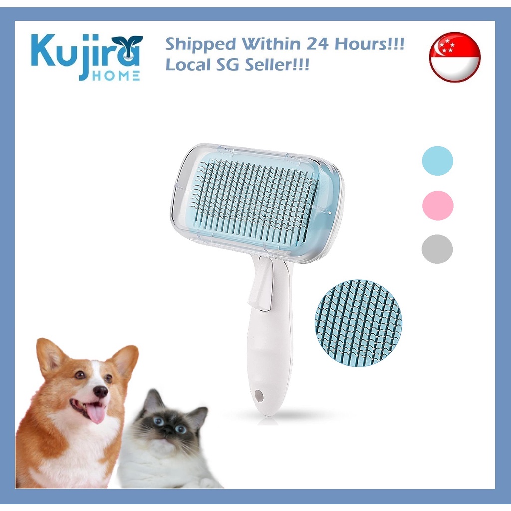 Groom easy dog outlet brush