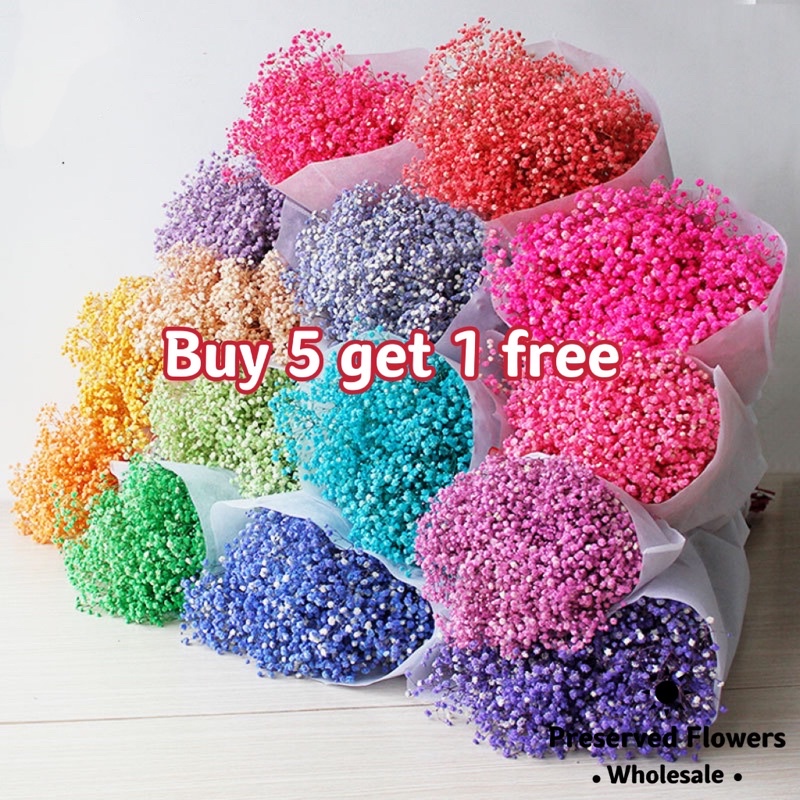 [SG Stock]Babybreath Preserved Flowers Dried Flowers Preserved Baby