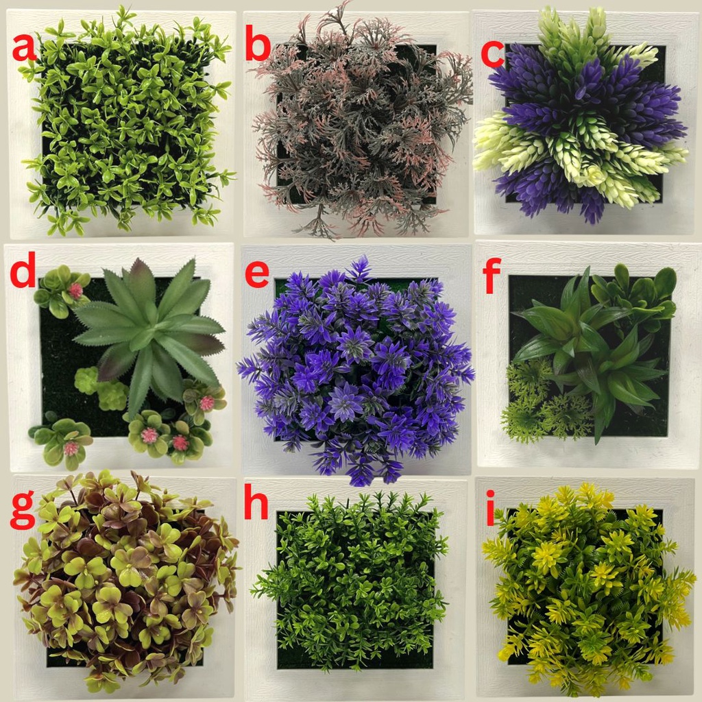 Plant Artificial Succulent in a picture frame, home decor, office Aplant756