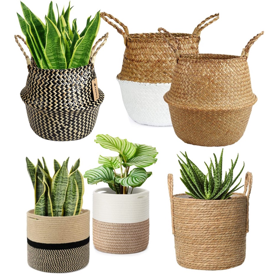 Plant Rattan Basket Plant Pot Flower Vase Sea Grass Basket For Small