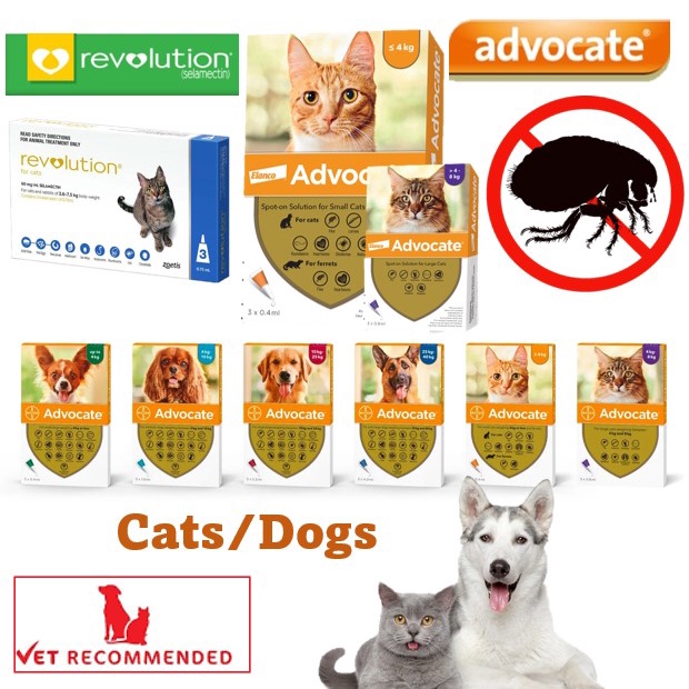 Advocate best sale for mites