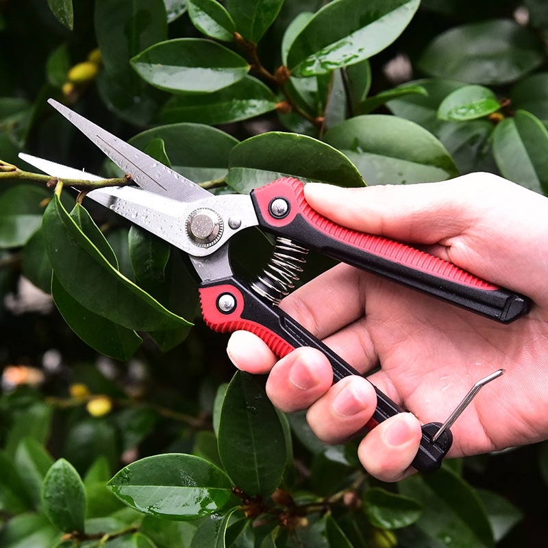 stainless steel gardening scissor Cutter Scissor/ Branch Pruning ...