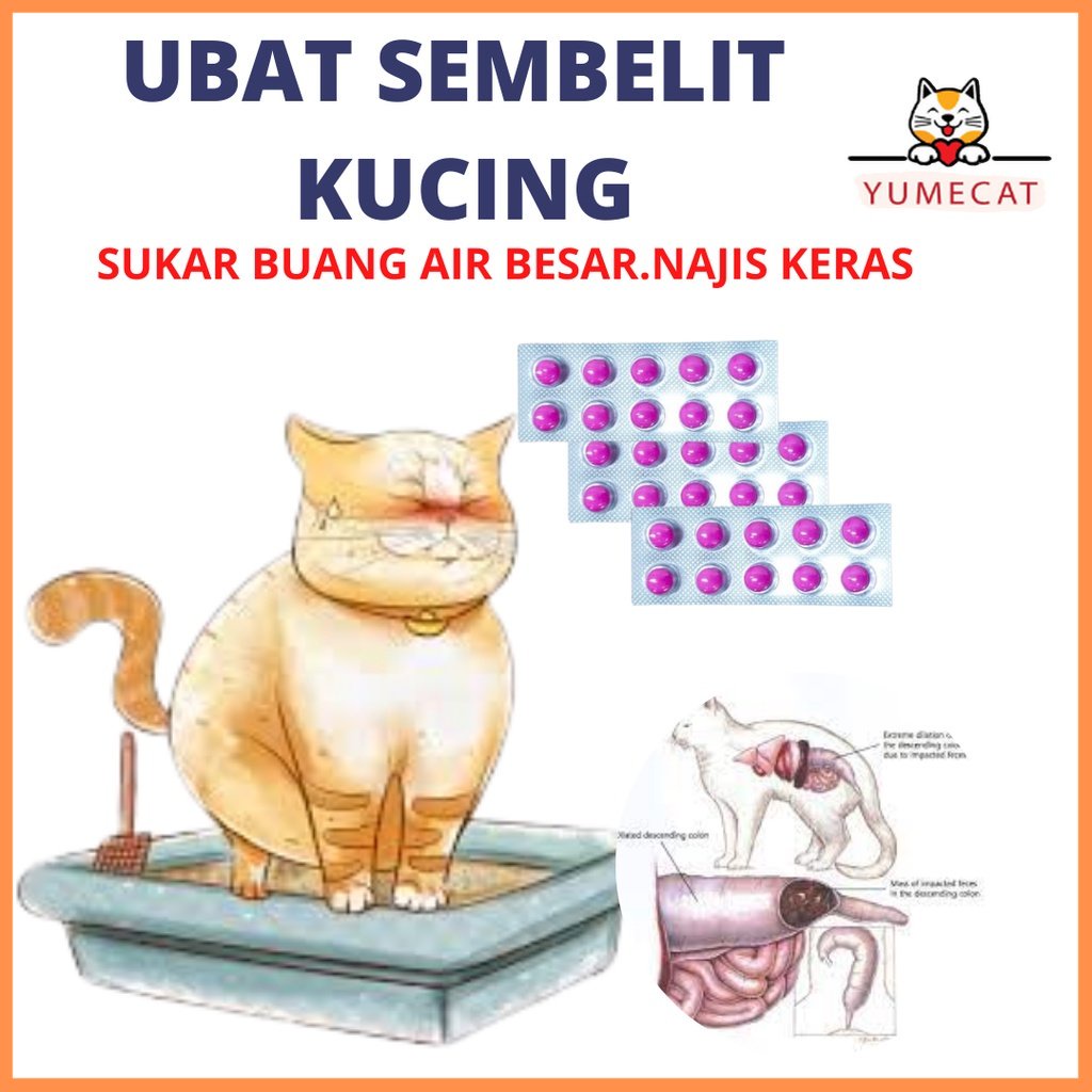 Yumecat Old Cat Constipation Medicine For Cats Constipation in Cats