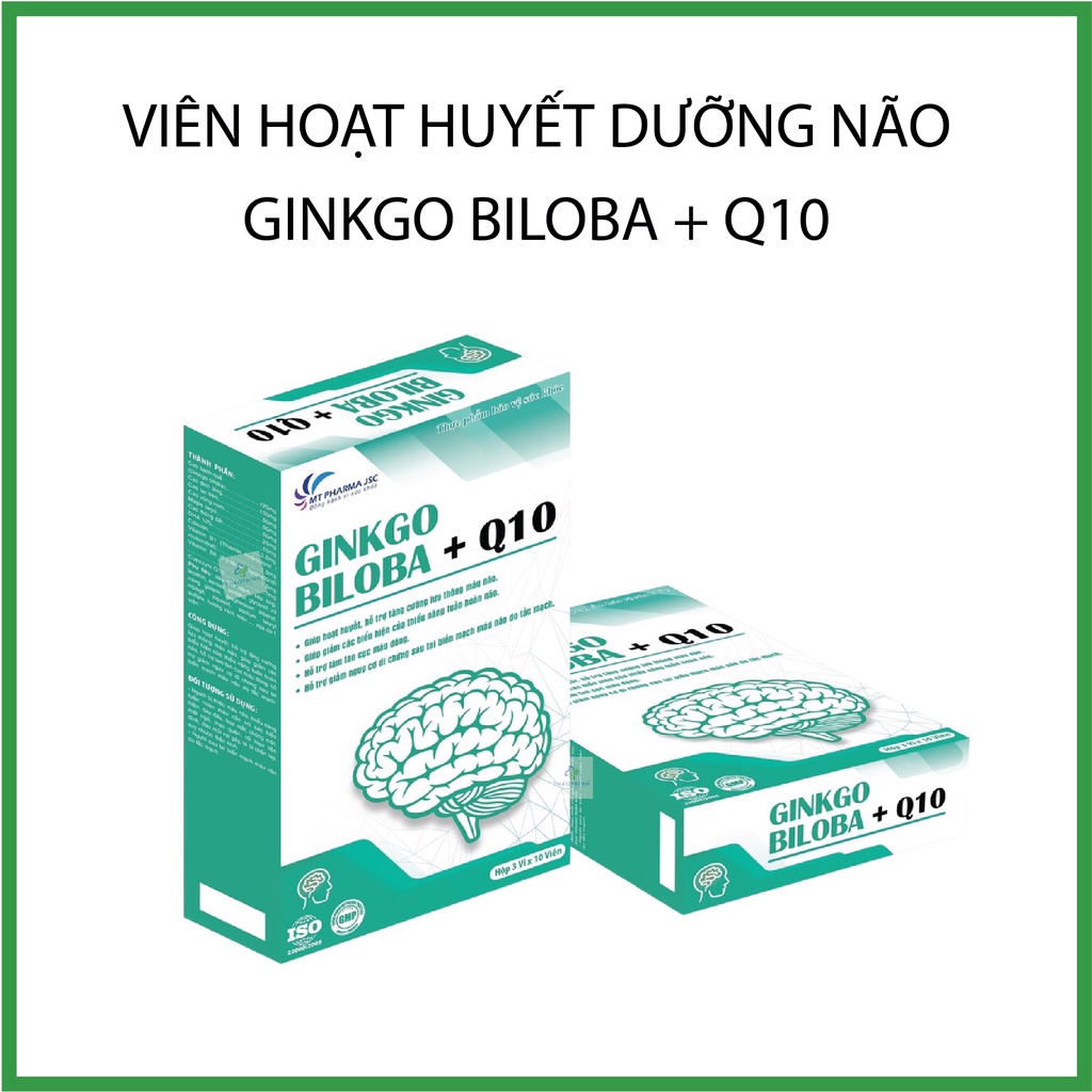 Ginkgo Biloba + Q10 DMT Brain Nourishing Blood Tablets (Box Of 30