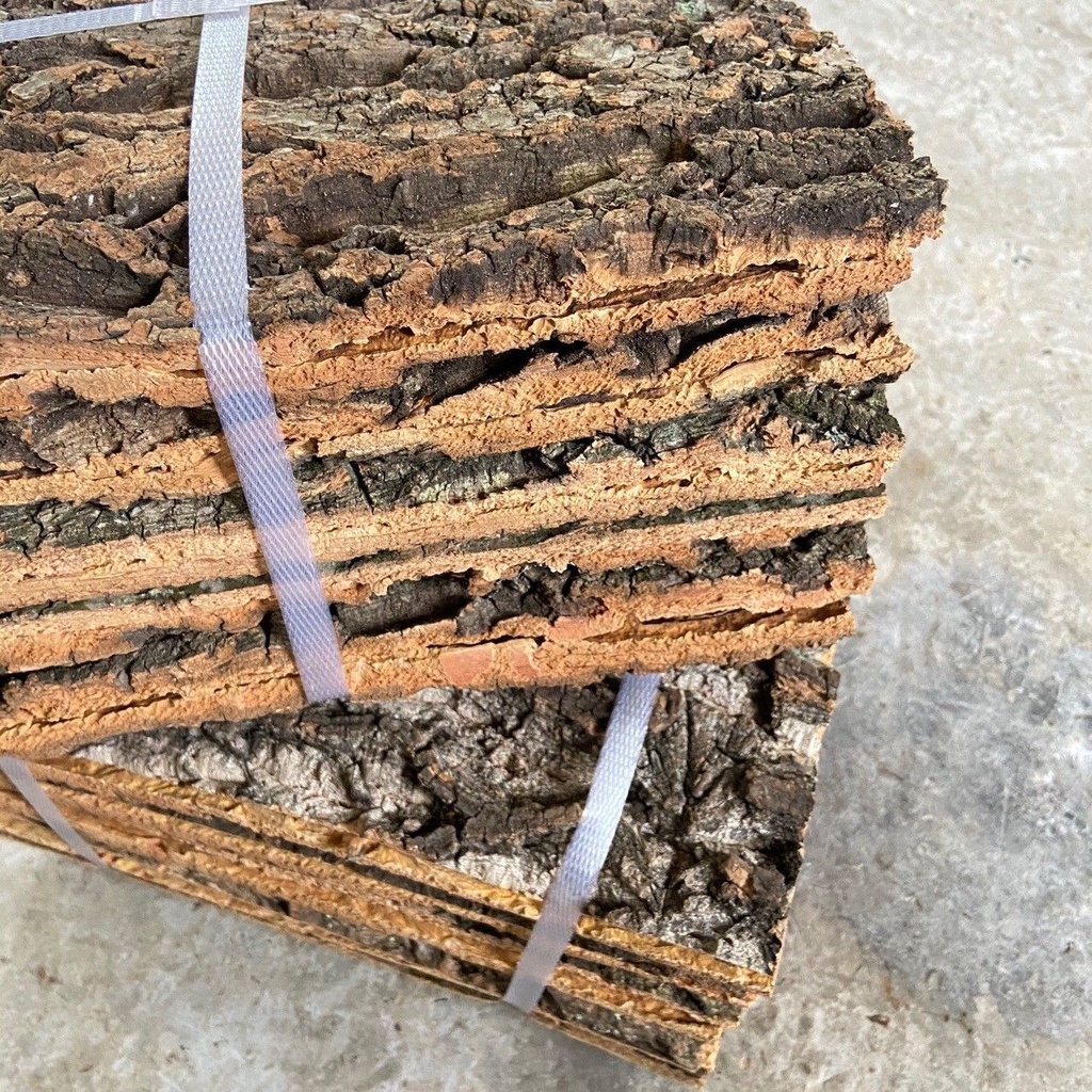 Real Bark Cork Bark Champagne Tree Bark Climbing Pet Fish Tank