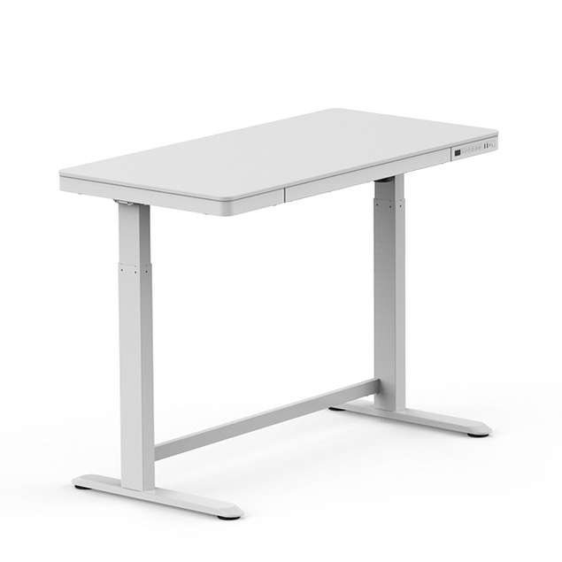 [ FREE Installation ] ErgonMan Electric Height Adjustable Desk Wooden