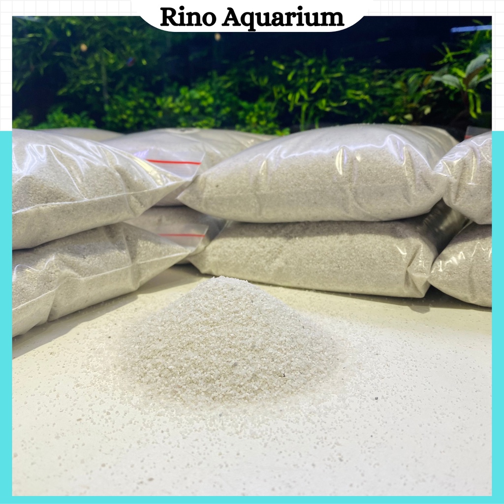 Quartz White Sand Spreads The Background Of The Aquarium Quartz