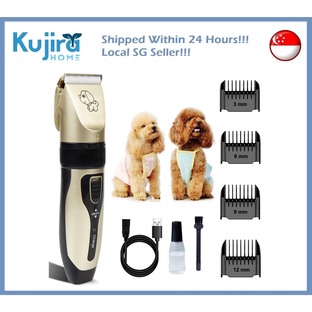 How to Give Your Dog a Haircut at Home - The Spruce Pets