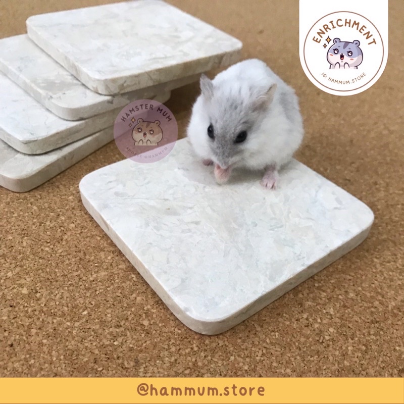 Hamster COOLING PAD MARBLE Cold Hamster Bed Premium Marble Hamster