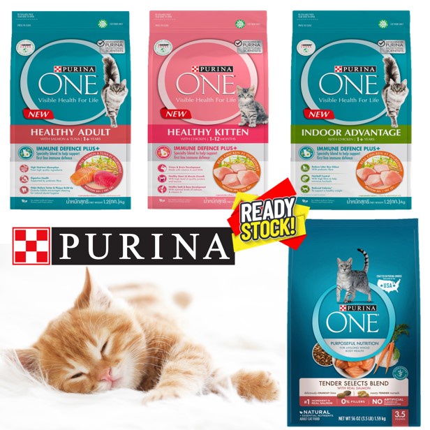 Purina ONE Cat Dry Food Kibbles Biscuit 1.2kg/380g Shopee Singapore