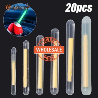 fishing lightstick - Prices and Deals - Sports & Outdoors Mar 2024