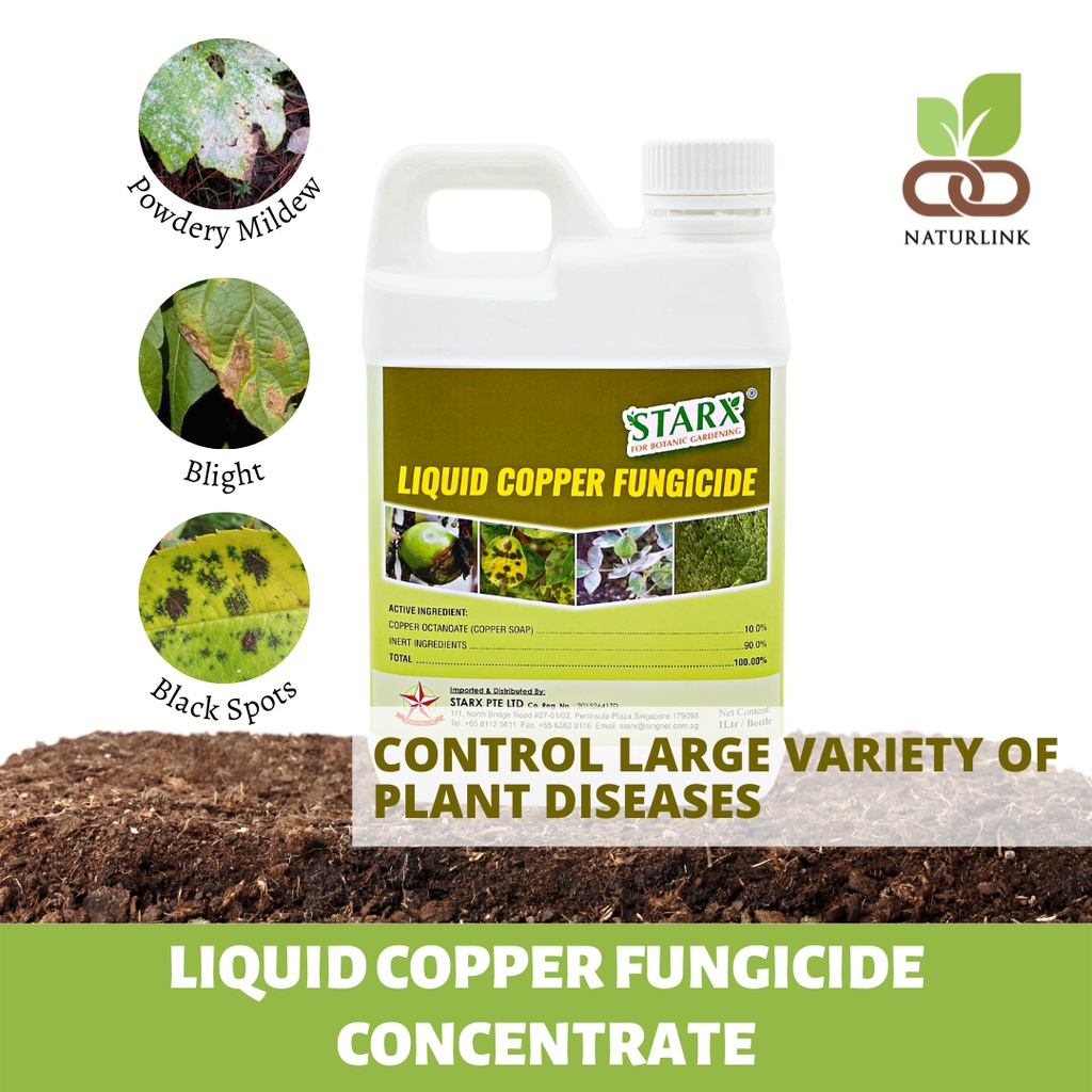STARX Liquid Copper Fungicide Concentrate (1L) Controls Powdery