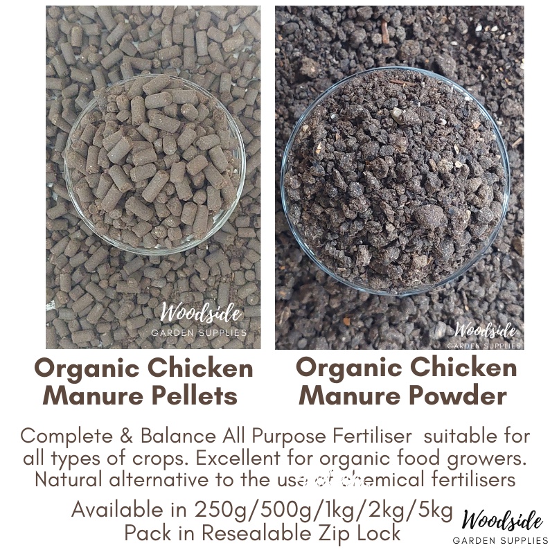Organic Chicken Manure Powder/Pellets 555 /NPK 555