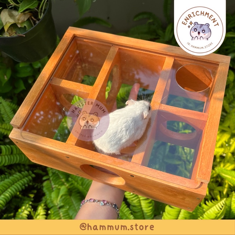 Image showcasing Acrylic Maze Hamster | Hamster Tunnel | Hideout Hamster Toy | Hamster ...