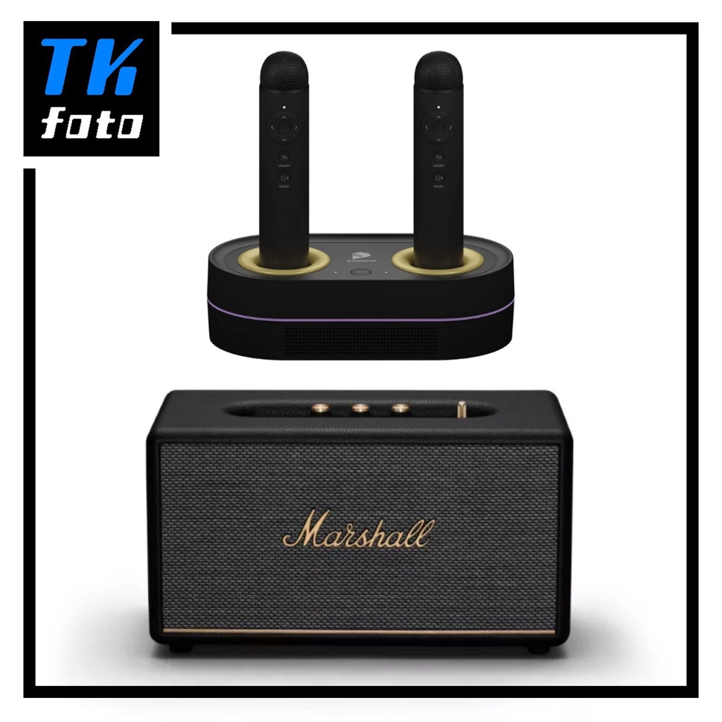 Marshall cheap karaoke speakers